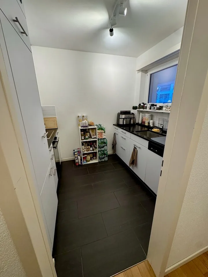 1.0-room apartment in the heart of Thalwil
