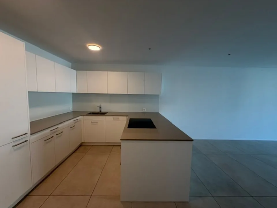 Moderne, neuwertige 4.5-Zimmer Wohnung zur Miete in Therwil