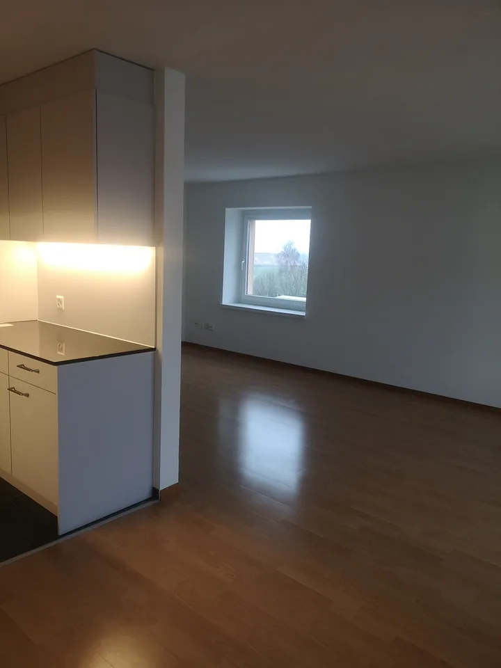 Joli appartement 4 1/2 pièces, près de St-Gallen
