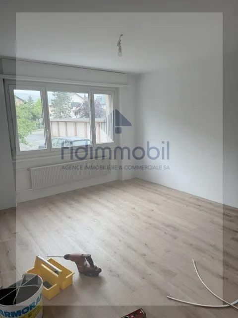 Vollständig renovierte 4-Zimmer-Wohnung