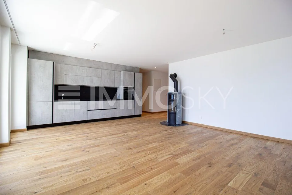4.5Zi mit Terrasse und Aussicht  (Nr. 11a)
