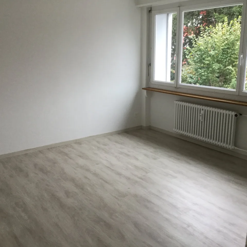 Nouvellement rénové 4 pièces et demi à Weinfelden