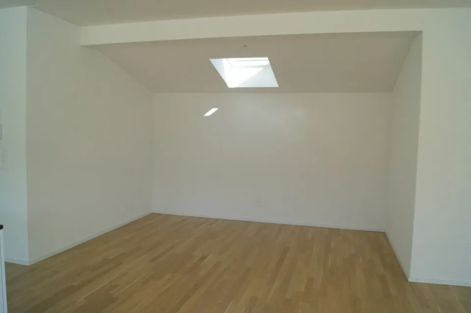 5.5 Zimmer Attikawohnung mit Süd-Terrasse