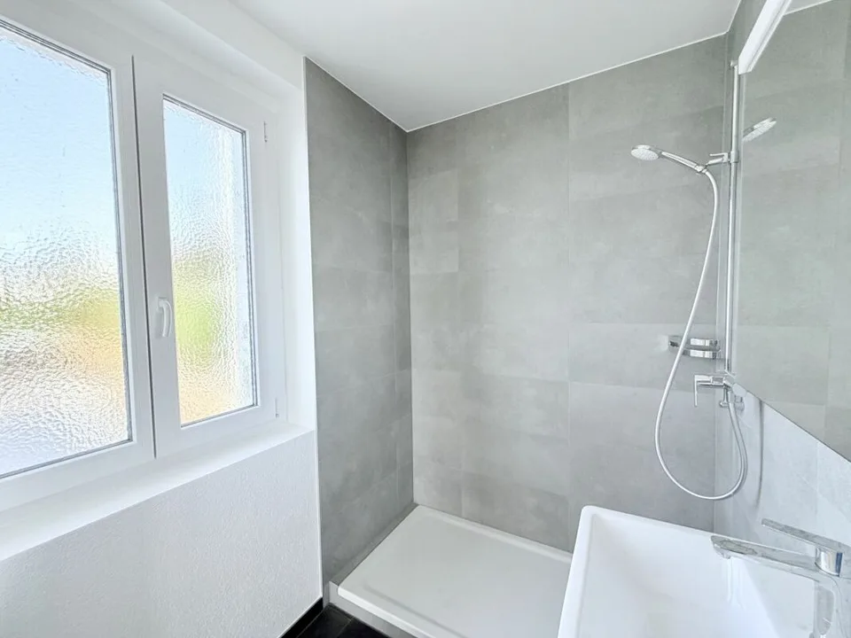 Renoviert! Duplex mit 4.0 Zimmern und Blick auf den See!