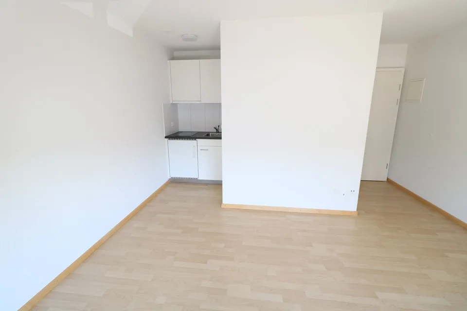 Komplett saniert mit Balkon
