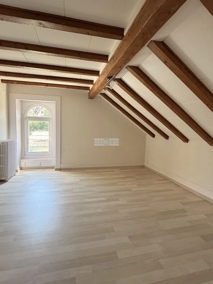 Charm and authenticity: Old Suchard villa with garden and garage