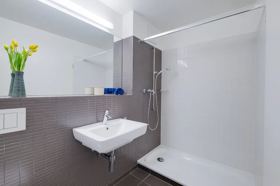 4.5 Zimmer Wohnung, 4123 Allschwil