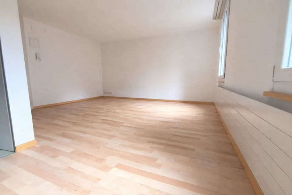 Charming 1-bedroom apartment in St. Gallen with new kitchen
