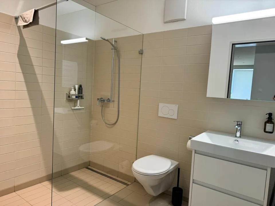 Brand new 3.5 room apartment in the popular "Langrüti" development for rent!