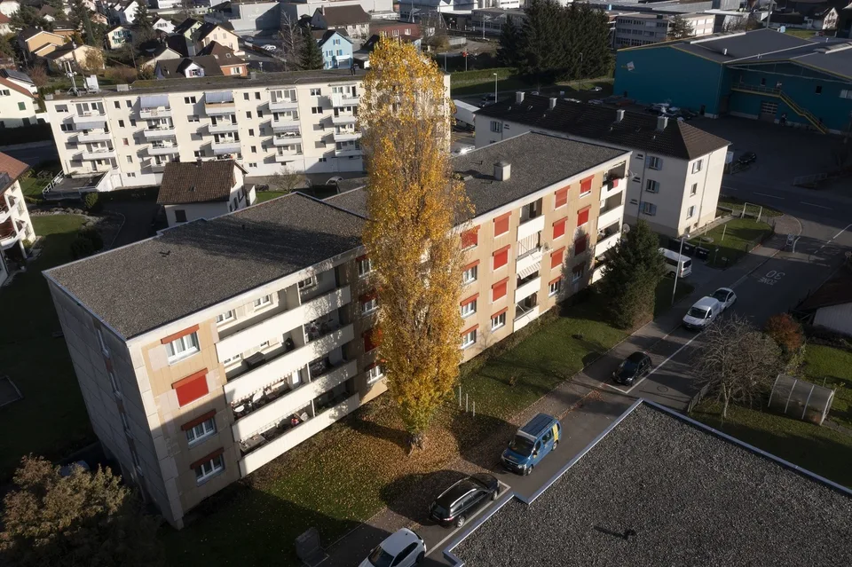 Hübsche Wohnung an zentraler Lage