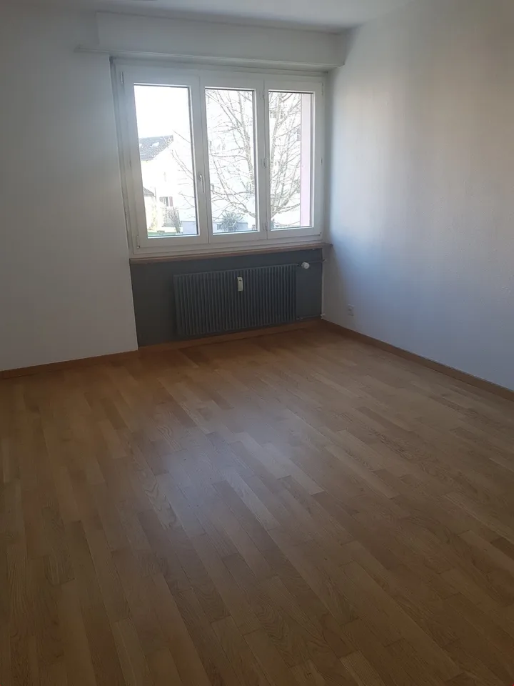 Bright apartment in summer in the beautiful garden, fine grilling....