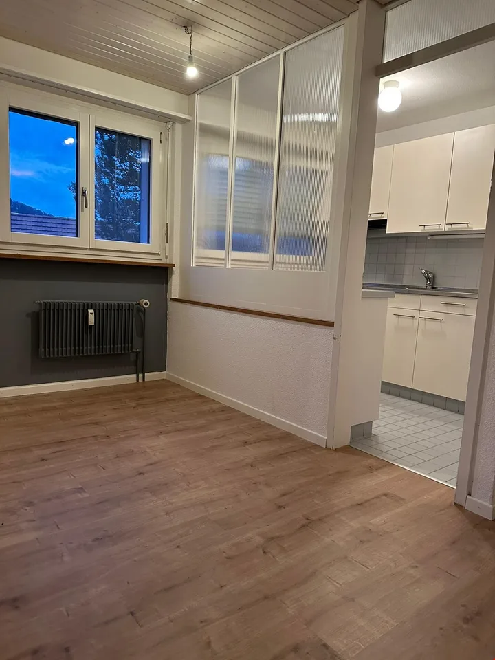 Bright apartment in summer in the beautiful garden, fine grilling....