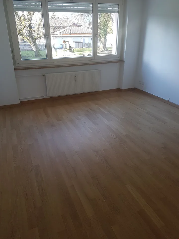 Bright apartment in summer in the beautiful garden, fine grilling....