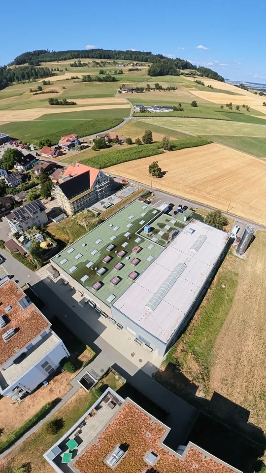 VIELSEITIGE UNTERNEHMENSLIEGENSCHAFT MIT LOGISTIK, BÜROS, BETRIEBSWOHNUNG UND TIEFKÜHLLAGER