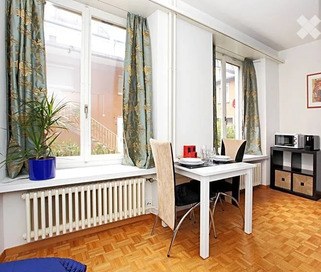 Beautiful centrally located furnished 1 1/2 room apartment