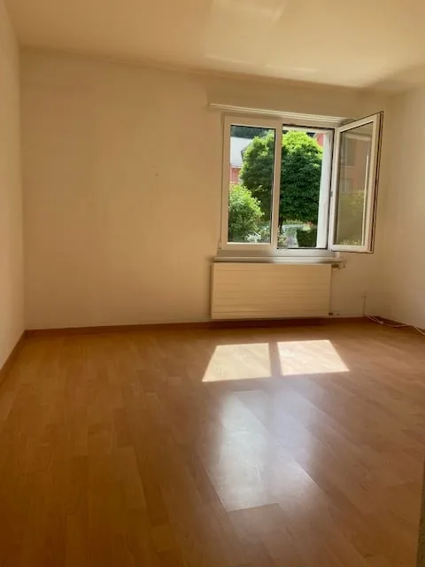 Affascinante appartamento di 3,5 locali in vendita a Kollbrunn