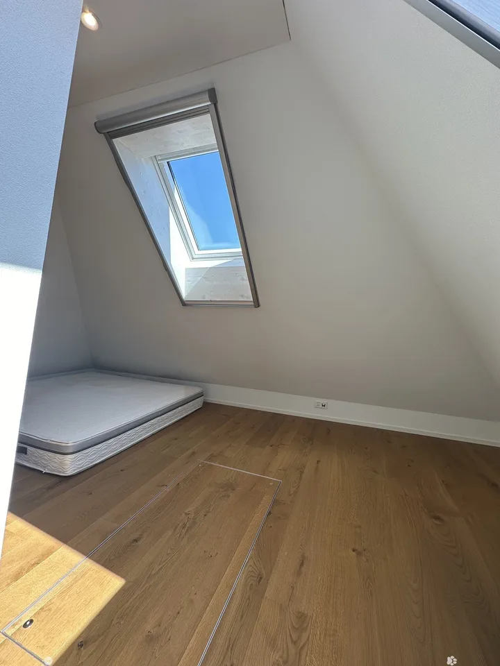 Top renovated attic apartment