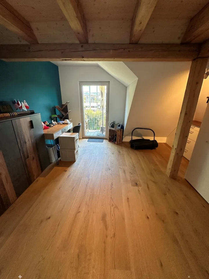 Top renovated attic apartment