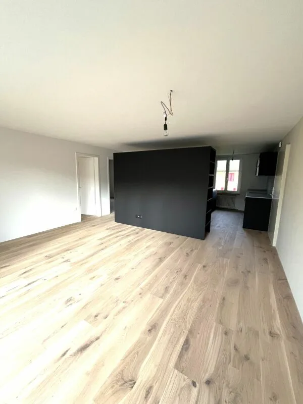 Appartamento attraente di 3,5 locali nel quartiere tranquillo di Binzenhof
