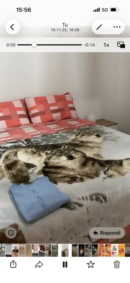 Appartement 2,5 pièces à louer à Biasca – disponible immédiatement