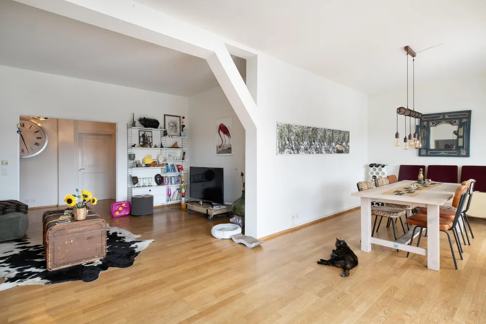 Appartamento esclusivo con grande terrazza sul tetto direttamente sul Reno