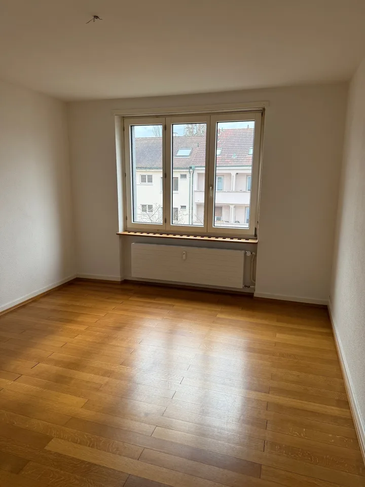 Incantevole appartamento di 2 camere vicino al Schützenmattpark