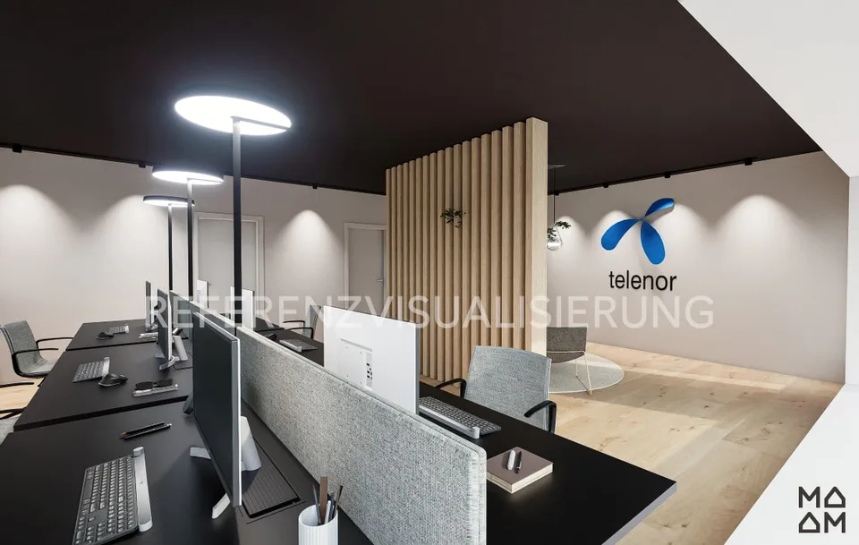 Office and commercial space with attractive attic apartment