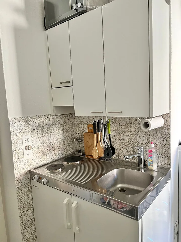 Apartment at Zürichberg, limited from 16.08-13.09.2026