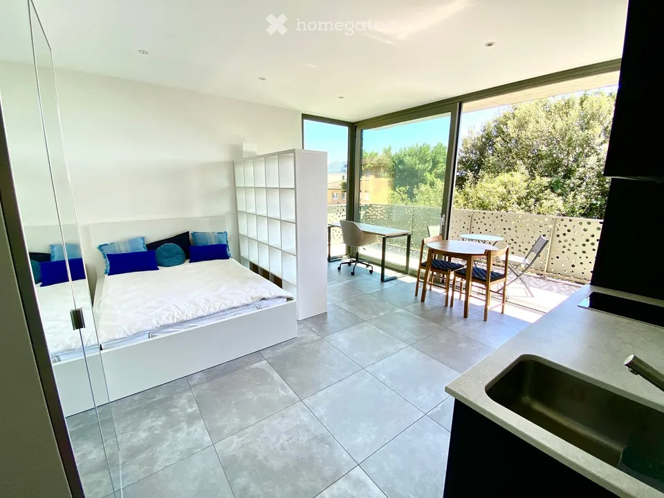 Grand studio moderne meublé avec superbe terrasse - 3ème étage - vue dégagée verdure et montagnes