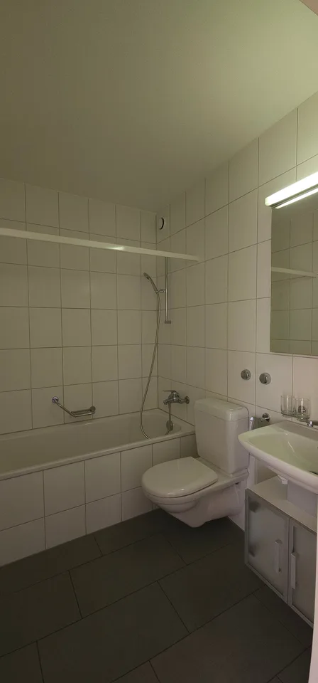 3.5 Zimmerwohnung Attikawohnung mit Weitblick