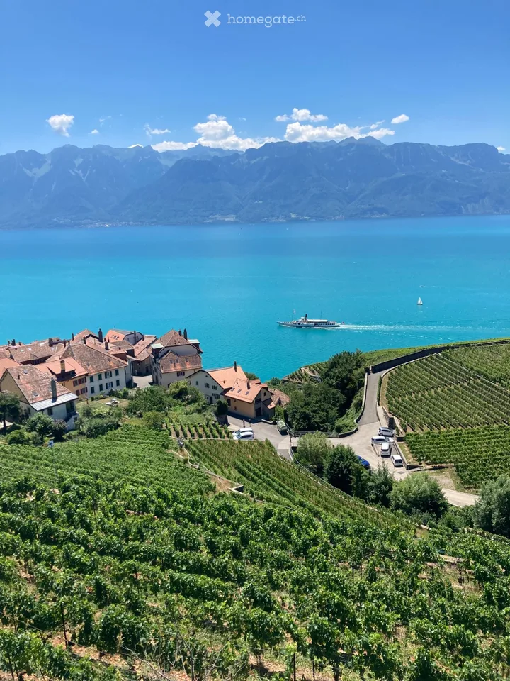 Möblierte 3,5-Zimmer-Wohnung Rivaz (Lavaux) November bis Februar