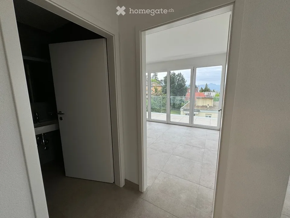 Magnificent 2.5-room apartment with large terrace