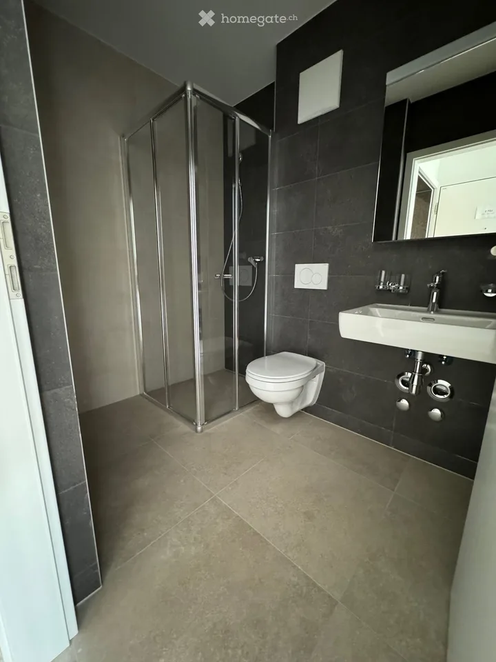Magnificent 2.5-room apartment with large terrace