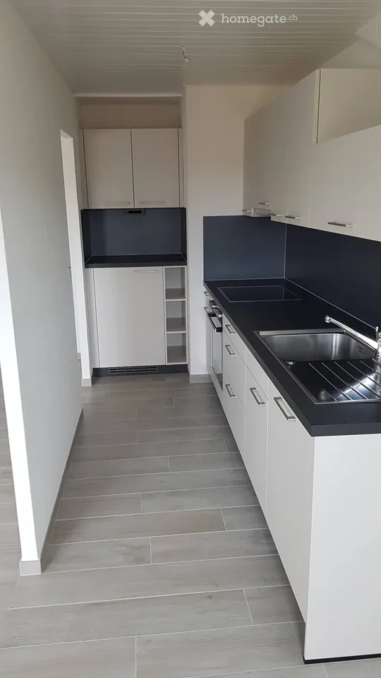 Lumineux appartement entièrement rénové