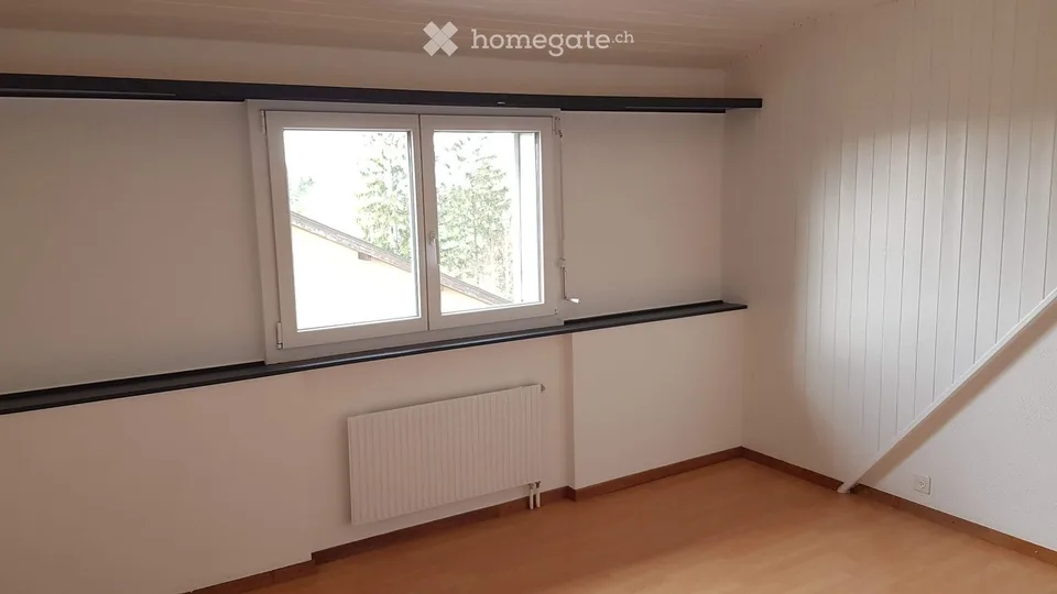 Appartamento luminoso, completamente rinnovato
