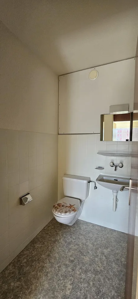 3.5 Zimmerwohnung in Aesch BL