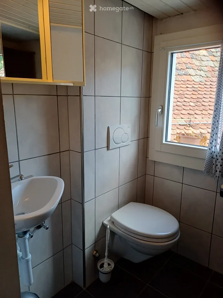 Compatto, a contatto con la natura & affascinante: Casa familiare accogliente a Hemmental