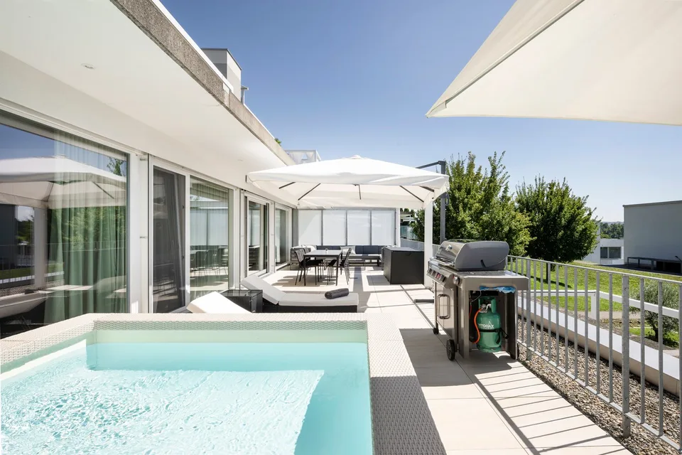 Appartement de terrasse exclusif de 4,5 pièces à Dottikon