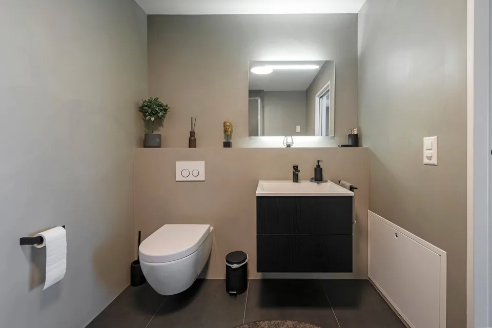 Appartement de terrasse exclusif de 4,5 pièces à Dottikon