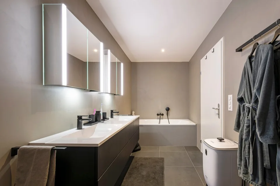 Appartement de terrasse exclusif de 4,5 pièces à Dottikon