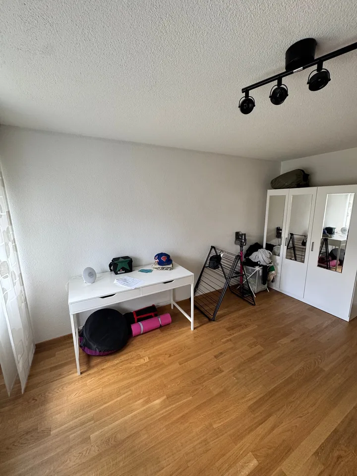 Cozy, quiet 2-room apartment with balcony in Frauenfeld