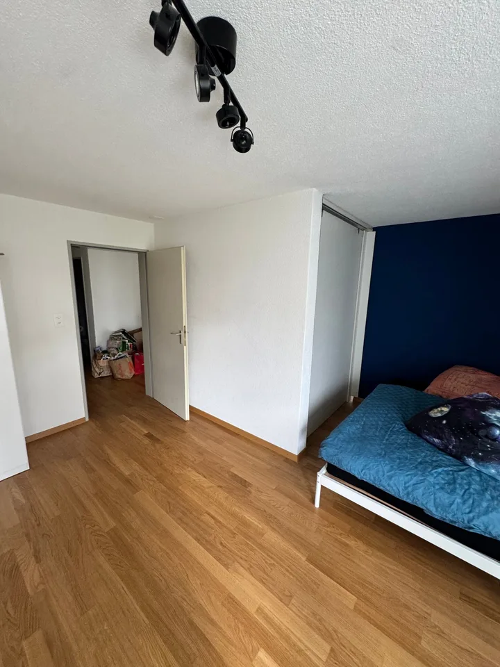 Cozy, quiet 2-room apartment with balcony in Frauenfeld