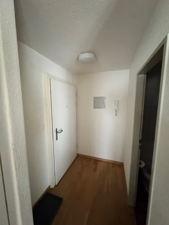 Cozy, quiet 2-room apartment with balcony in Frauenfeld