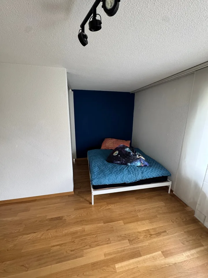 Cozy, quiet 2-room apartment with balcony in Frauenfeld