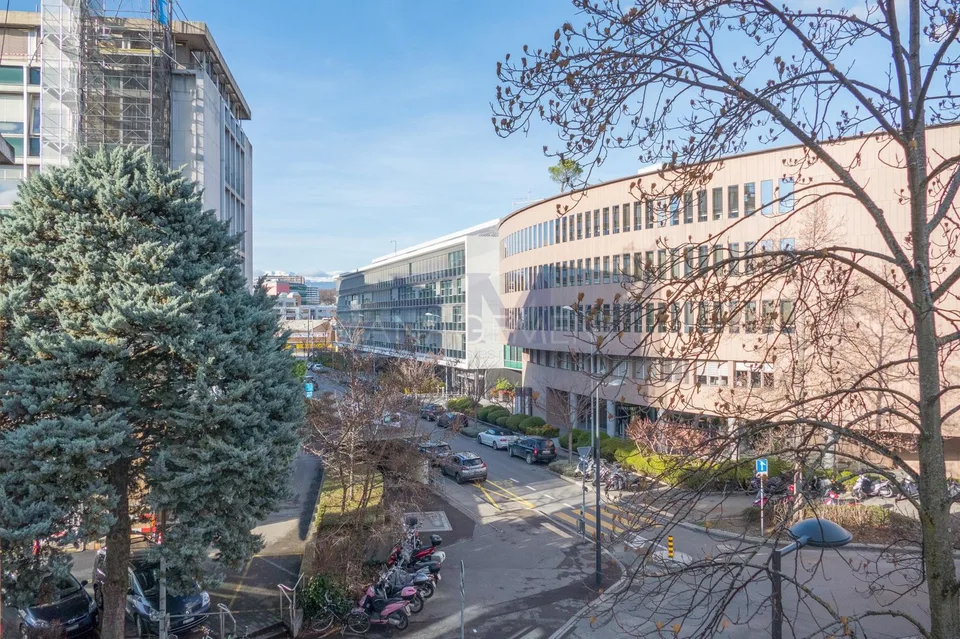 Carouge - Rue des Caroubiers - 2-Zimmer-Wohnung von etwa 47m2 im Erdgeschoss