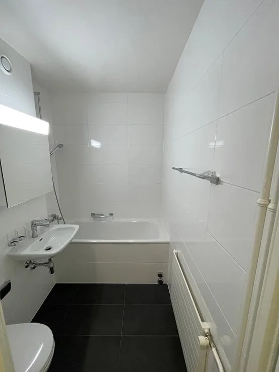 Somptueux studio disponible au cœur de Genève (Les Charmilles)