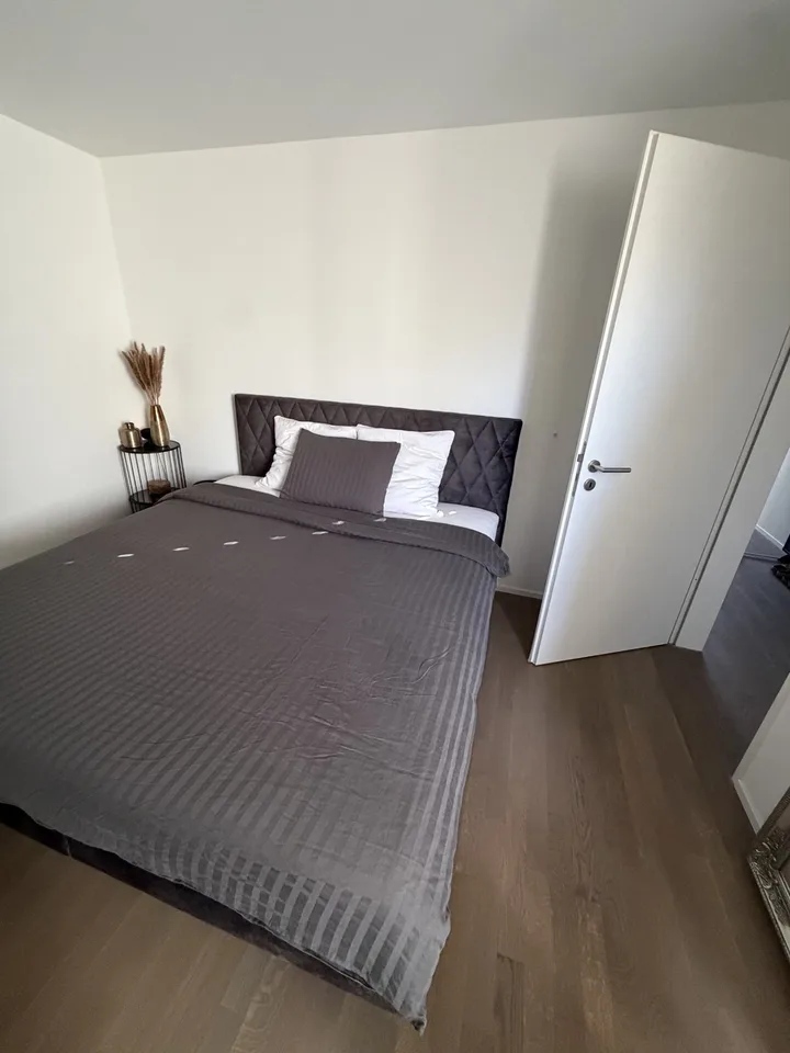 Modern 2.5-room apartment with balcony for rent in Wallisellen