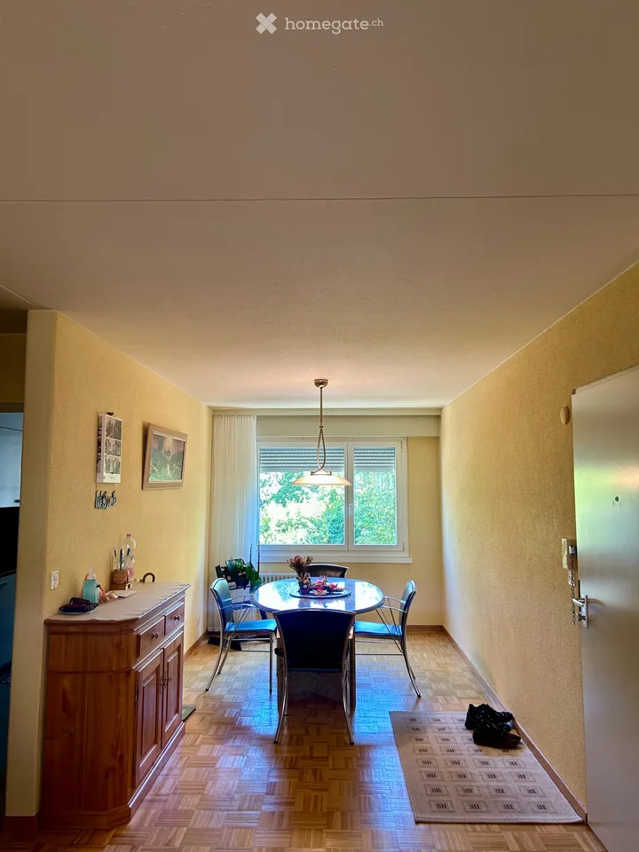 Helle 5-Zimmer-Wohnung mit Balkon an ruhiger Lage zwischen Zürich- und Greifensee
