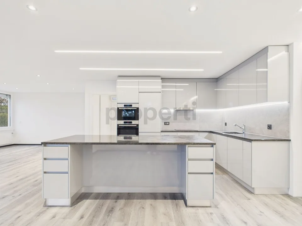 Modern 6.5 room row house renovated with garden in La Neuveville