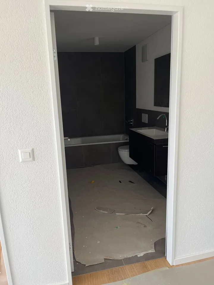 Loft in Brugg AG